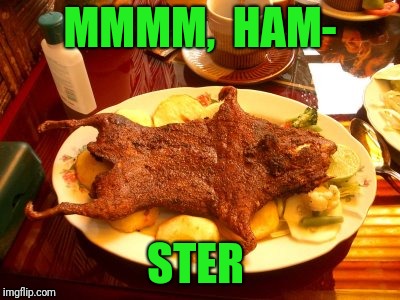 It's what's for dinner  | MMMM,  HAM-; STER | image tagged in hamster weekend,hamster | made w/ Imgflip meme maker