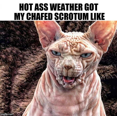 TMI? Where's the powder? | HOT ASS WEATHER GOT MY CHAFED SCROTUM LIKE | image tagged in heat,hot weather,sucks,funny | made w/ Imgflip meme maker