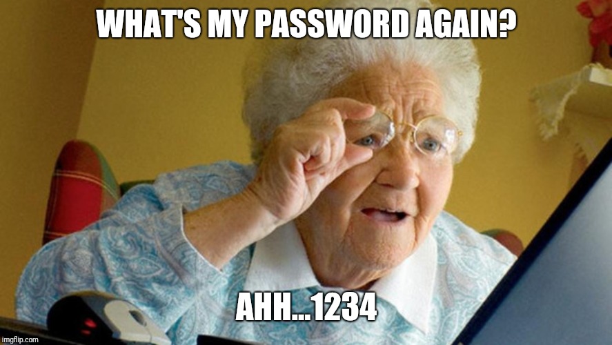 grandma computer | WHAT'S MY PASSWORD AGAIN? AHH...1234 | image tagged in grandma computer | made w/ Imgflip meme maker
