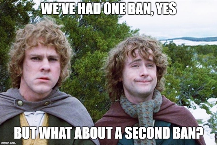 hobbits | WE'VE HAD ONE BAN, YES; BUT WHAT ABOUT A SECOND BAN? | image tagged in hobbits | made w/ Imgflip meme maker