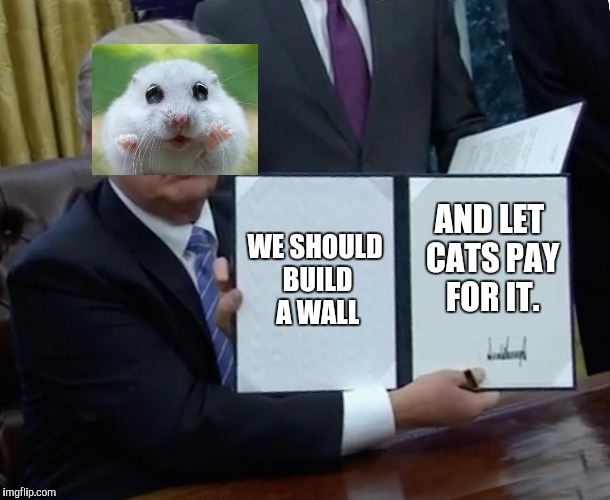 Trump Bill Signing | WE SHOULD BUILD A WALL; AND LET CATS PAY FOR IT. | image tagged in memes,trump bill signing | made w/ Imgflip meme maker