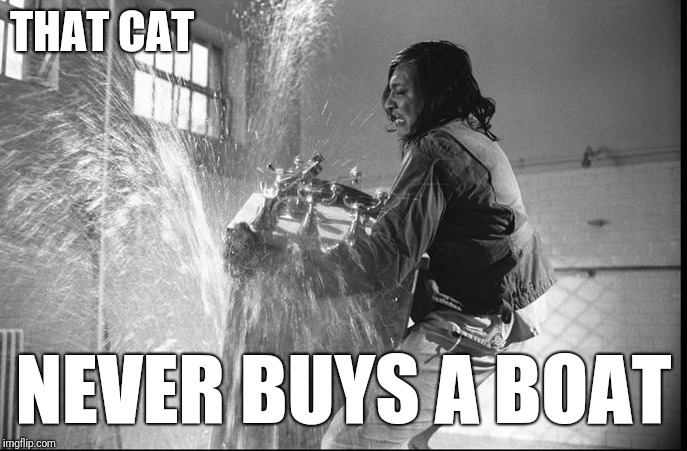 THAT CAT NEVER BUYS A BOAT | made w/ Imgflip meme maker