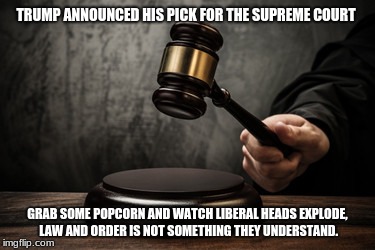 Supreme court | TRUMP ANNOUNCED HIS PICK FOR THE SUPREME COURT; GRAB SOME POPCORN AND WATCH LIBERAL HEADS EXPLODE, LAW AND ORDER IS NOT SOMETHING THEY UNDERSTAND. | image tagged in supreme court | made w/ Imgflip meme maker