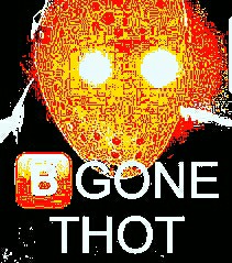 why is instagram and snapchat full of thots | image tagged in meme,funny,thots | made w/ Imgflip meme maker