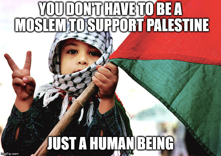 YOU DON'T HAVE TO BE A MOSLEM TO SUPPORT PALESTINE; JUST A HUMAN BEING | image tagged in freedom | made w/ Imgflip meme maker