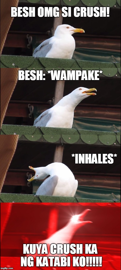 Inhaling Seagull Meme | BESH OMG SI CRUSH! BESH: *WAMPAKE*; *INHALES*; KUYA CRUSH KA NG KATABI KO!!!!! | image tagged in memes,inhaling seagull | made w/ Imgflip meme maker