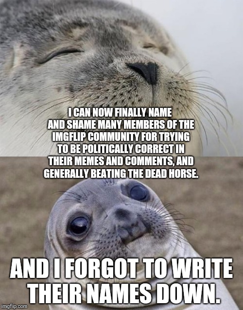 Shame on you people, trying to make imgflip a political cesspool! | I CAN NOW FINALLY NAME AND SHAME MANY MEMBERS OF THE IMGFLIP COMMUNITY FOR TRYING TO BE POLITICALLY CORRECT IN THEIR MEMES AND COMMENTS, AND GENERALLY BEATING THE DEAD HORSE. AND I FORGOT TO WRITE THEIR NAMES DOWN. | image tagged in memes,short satisfaction vs truth,truth,stop,srslyitsannoying,itsnotfunny | made w/ Imgflip meme maker