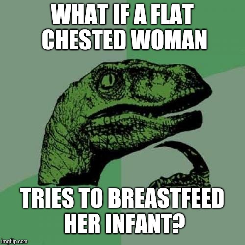 Philosoraptor Meme | WHAT IF A FLAT CHESTED WOMAN; TRIES TO BREASTFEED HER INFANT? | image tagged in memes,philosoraptor | made w/ Imgflip meme maker