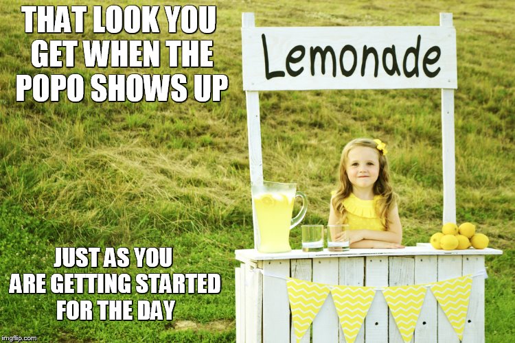 Lemonade stand | THAT LOOK YOU GET WHEN THE POPO SHOWS UP JUST AS YOU ARE GETTING STARTED FOR THE DAY | image tagged in lemonade stand | made w/ Imgflip meme maker