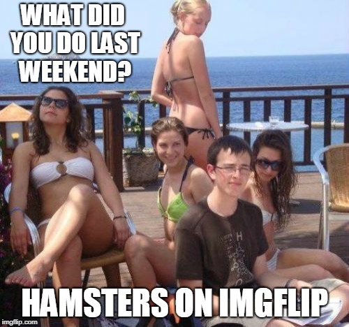 Priority Peter | WHAT DID YOU DO LAST WEEKEND? HAMSTERS ON IMGFLIP | image tagged in memes,priority peter,hamster weekend,hamster,weekend | made w/ Imgflip meme maker