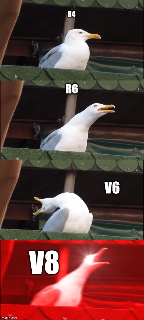 Inhaling Seagull | R4; R6; V6; V8 | image tagged in memes,inhaling seagull | made w/ Imgflip meme maker