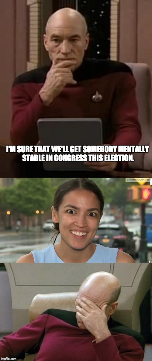 Unhinged Alexandria Ocasio-Cortez | I'M SURE THAT WE'LL GET SOMEBODY MENTALLY STABLE IN CONGRESS THIS ELECTION. | image tagged in memes,captain picard facepalm,alexandria ocasio-cortez,overly deranged communist,liberalism is a mental disorder | made w/ Imgflip meme maker