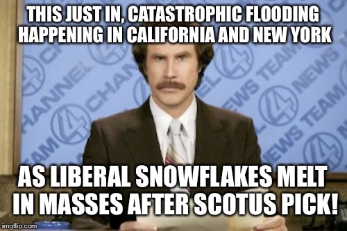 Liberals meltdown after SCOTUS pick! | THIS JUST IN, CATASTROPHIC FLOODING HAPPENING IN CALIFORNIA AND NEW YORK; AS LIBERAL SNOWFLAKES MELT IN MASSES AFTER SCOTUS PICK! | image tagged in memes,ron burgundy,scotus,trump,liberals,political | made w/ Imgflip meme maker