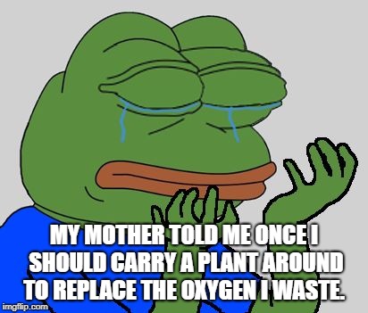 what is the curelest thing that's ever been said to you? | MY MOTHER TOLD ME ONCE I SHOULD CARRY A PLANT AROUND TO REPLACE THE OXYGEN I WASTE. | image tagged in pepe cry | made w/ Imgflip meme maker