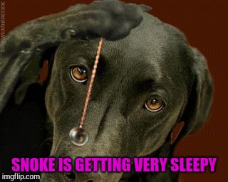 Dog Hypnotize | SNOKE IS GETTING VERY SLEEPY | image tagged in dog hypnotize | made w/ Imgflip meme maker
