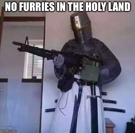 Crusader knight with M60 Machine Gun | NO FURRIES IN THE HOLY LAND | image tagged in crusader knight with m60 machine gun | made w/ Imgflip meme maker