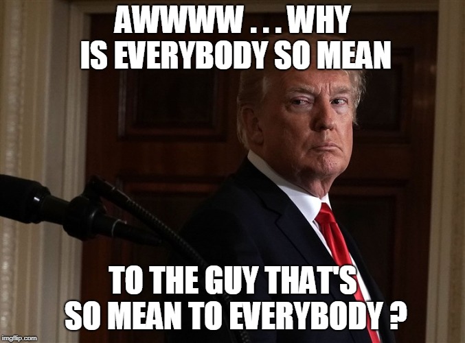 AWWWW . . . WHY IS EVERYBODY SO MEAN; TO THE GUY THAT'S SO MEAN TO EVERYBODY ? | image tagged in trump | made w/ Imgflip meme maker