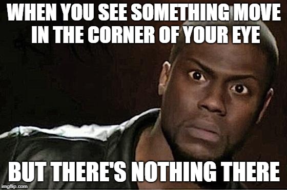 Kevin Hart Meme | WHEN YOU SEE SOMETHING MOVE IN THE CORNER OF YOUR EYE; BUT THERE'S NOTHING THERE | image tagged in memes,kevin hart | made w/ Imgflip meme maker