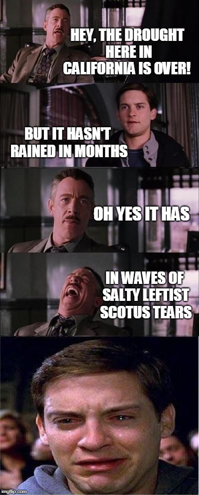 HEY, THE DROUGHT HERE IN OH YES IT HAS BUT IT HASN'T RAINED IN MONTHS CALIFORNIA IS OVER! IN WAVES OF SALTY LEFTIST SCOTUS TEARS | image tagged in peter parker | made w/ Imgflip meme maker