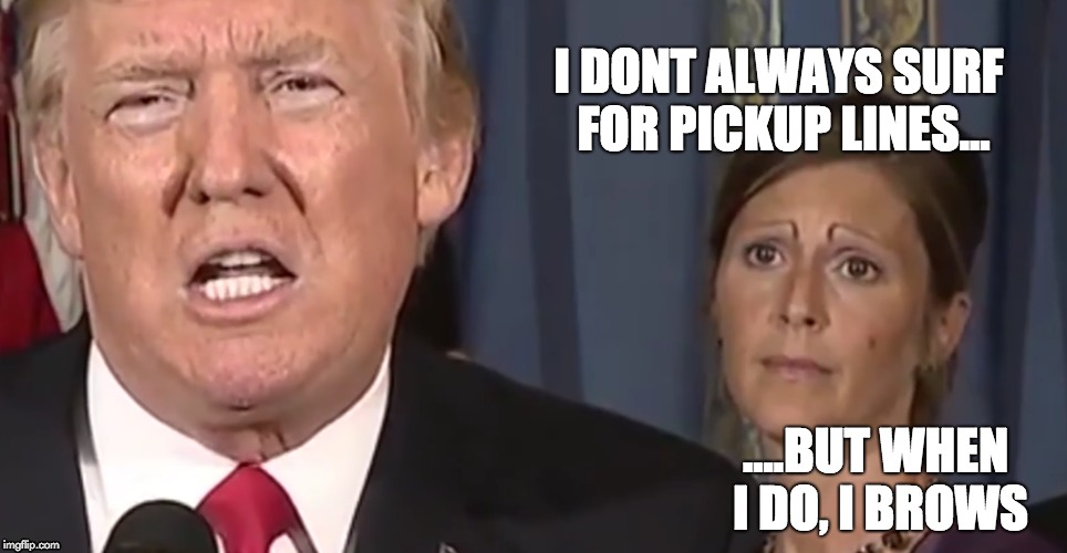 Pickup lines  | I DONT ALWAYS SURF FOR PICKUP LINES... ....BUT WHEN I DO, I BROWS | image tagged in pickupline,brows,eyebrows,surf,pickuplines,trump | made w/ Imgflip meme maker