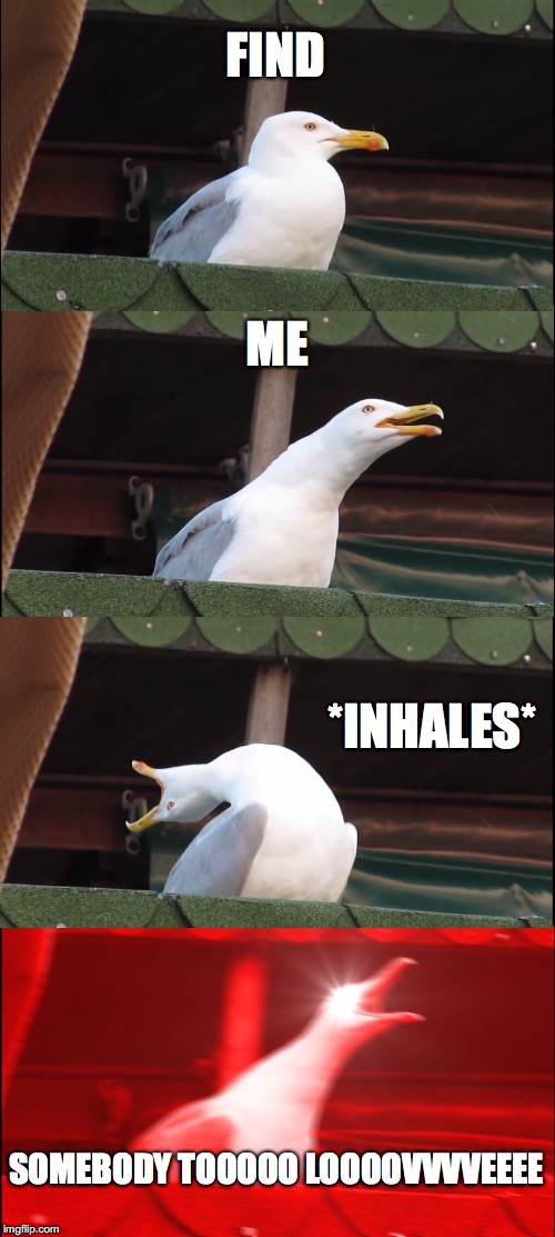 Inhaling Seagull | FIND; ME; *INHALES*; SOMEBODY TOOOOO LOOOOVVVVEEEE | image tagged in memes,inhaling seagull | made w/ Imgflip meme maker