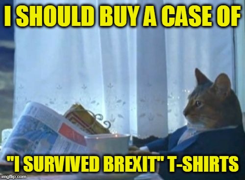 I Should Buy A Boat Cat | I SHOULD BUY A CASE OF; "I SURVIVED BREXIT" T-SHIRTS | image tagged in memes,i should buy a boat cat | made w/ Imgflip meme maker