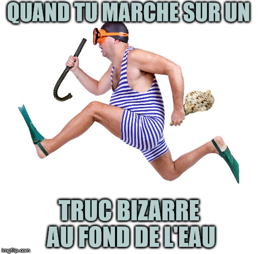 QUAND TU MARCHE SUR UN TRUC BIZARRE AU FOND DE L'EAU | made w/ Imgflip meme maker