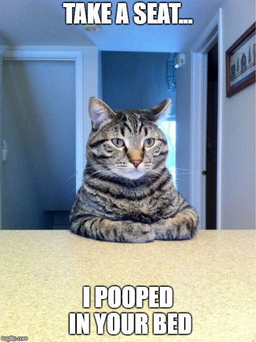 Take A Seat Cat | TAKE A SEAT... I POOPED IN YOUR BED | image tagged in memes,take a seat cat | made w/ Imgflip meme maker