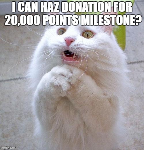 Please? | I CAN HAZ DONATION FOR 20,000 POINTS MILESTONE? | image tagged in begging cat,points,milestone,donation | made w/ Imgflip meme maker