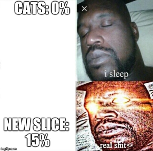Sleeping Shaq Meme | CATS: 0% NEW SLICE: 15% | image tagged in memes,sleeping shaq | made w/ Imgflip meme maker