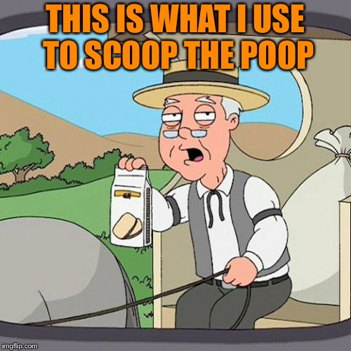 Pepperidge Farm Remembers Meme | THIS IS WHAT I USE TO SCOOP THE POOP | image tagged in memes,pepperidge farm remembers | made w/ Imgflip meme maker