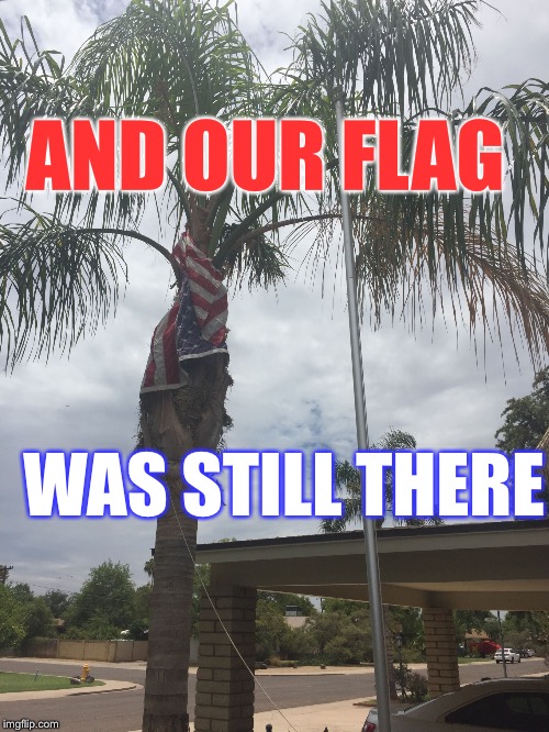 The Haboob won | AND OUR FLAG; WAS STILL THERE | image tagged in flag tree,phx az,brett,cavanaw,darn u daggers,meme me up | made w/ Imgflip meme maker