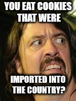 dave discust | YOU EAT COOKIES THAT WERE IMPORTED INTO THE COUNTRY? | image tagged in dave discust | made w/ Imgflip meme maker
