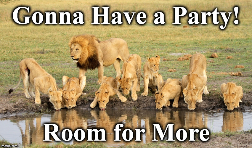 Gonna Have a Party! Room for More | image tagged in rook | made w/ Imgflip meme maker