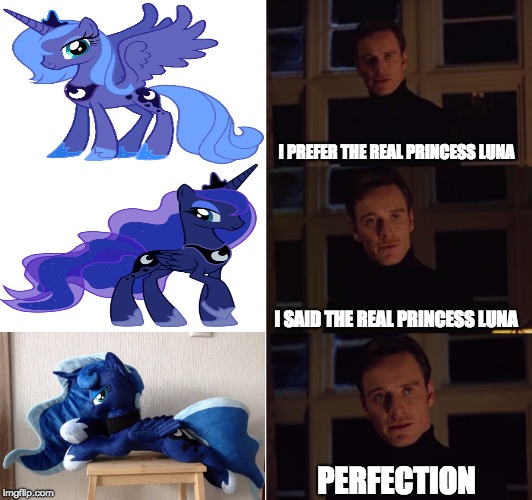 The REAL Princess Luna | I PREFER THE REAL PRINCESS LUNA; I SAID THE REAL PRINCESS LUNA; PERFECTION | image tagged in perfection,my little pony friendship is magic,my little pony,princess luna | made w/ Imgflip meme maker