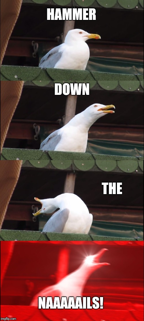 Inhaling Seagull Meme | HAMMER; DOWN; THE; NAAAAAILS! | image tagged in memes,inhaling seagull | made w/ Imgflip meme maker