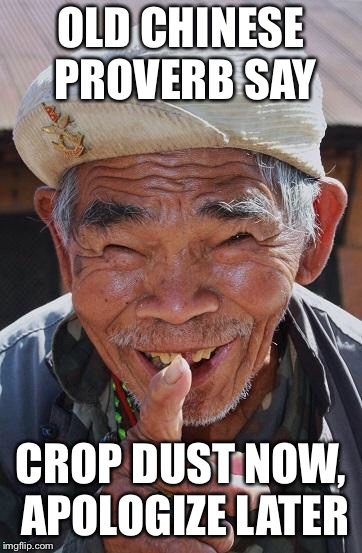 Funny old Chinese man 1 | OLD CHINESE PROVERB SAY; CROP DUST NOW, APOLOGIZE LATER | image tagged in funny old chinese man 1 | made w/ Imgflip meme maker