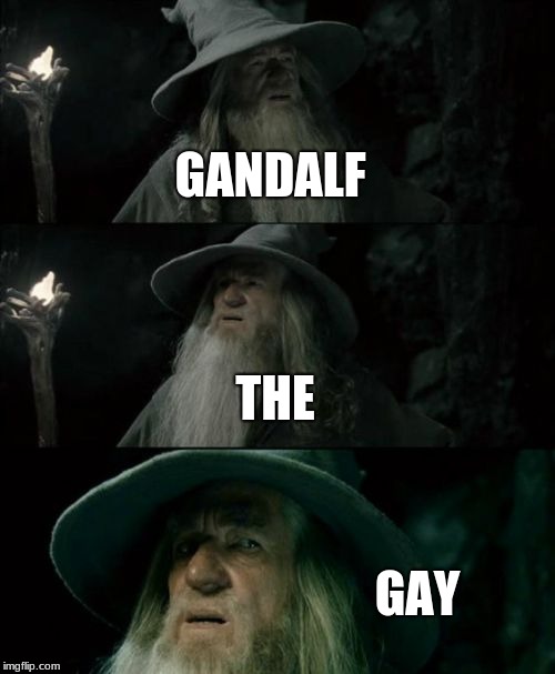 Confused Gandalf Meme | GANDALF; THE; GAY | image tagged in memes,confused gandalf | made w/ Imgflip meme maker