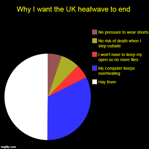 Yet another unoriginal pie chart | Why I want the UK heatwave to end | Hay fever, My computer keeps overheating, I won't have to keep my open so no more flies, No risk of deat | image tagged in funny,pie charts,heatwave | made w/ Imgflip chart maker