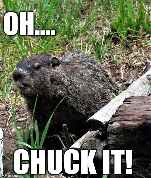 wouldchuck | OH.... CHUCK IT! | image tagged in wouldchuck | made w/ Imgflip meme maker