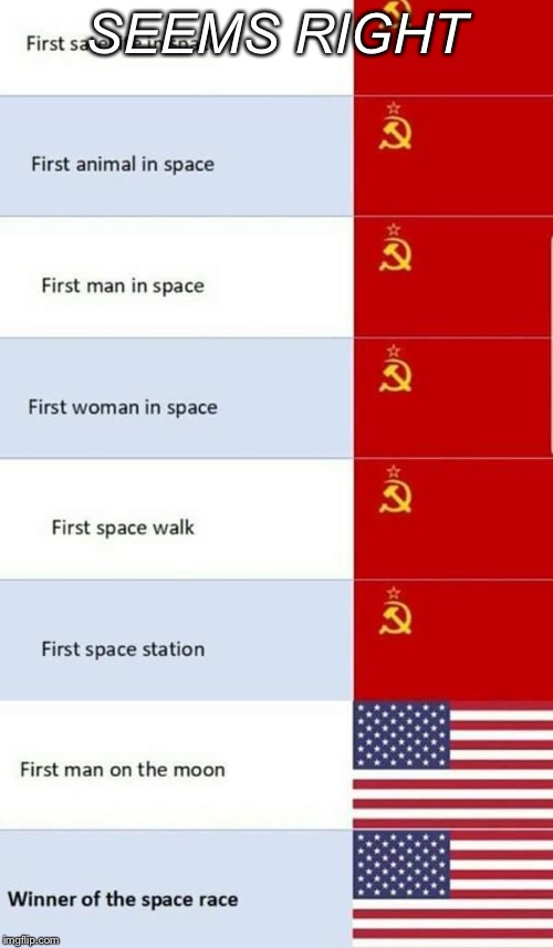 Seems right | SEEMS RIGHT | image tagged in memes,funny,logic | made w/ Imgflip meme maker