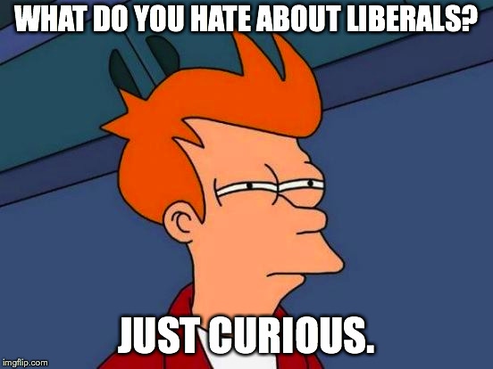 Futurama Fry Meme | WHAT DO YOU HATE ABOUT LIBERALS? JUST CURIOUS. | image tagged in memes,futurama fry | made w/ Imgflip meme maker