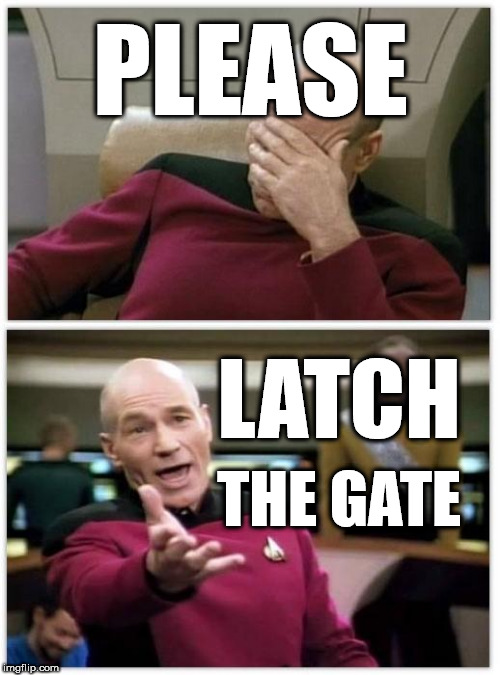 Picard frustrated | PLEASE; LATCH; THE GATE | image tagged in picard frustrated | made w/ Imgflip meme maker