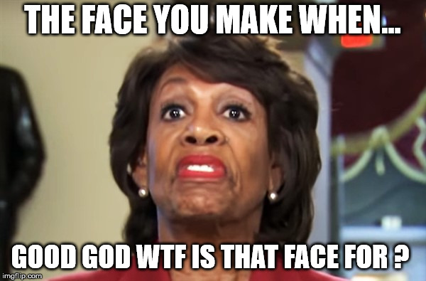 WTF FACE | THE FACE YOU MAKE WHEN... GOOD GOD WTF IS THAT FACE FOR ? | image tagged in maxine waters | made w/ Imgflip meme maker