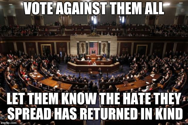 Vote out congress.  don't vote party, vote against incumbents. | VOTE AGAINST THEM ALL; LET THEM KNOW THE HATE THEY SPREAD HAS RETURNED IN KIND | image tagged in congress,congress sucks,vote them all out | made w/ Imgflip meme maker