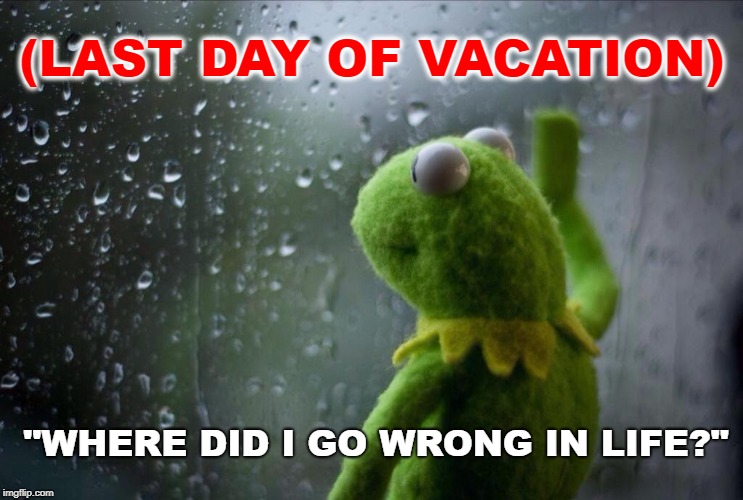 Last Day Of Vacation | (LAST DAY OF VACATION); "WHERE DID I GO WRONG IN LIFE?" | image tagged in sad kermit,vacation,work,life,funny,regrets | made w/ Imgflip meme maker