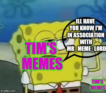 ILL HAVE YOU KNOW I'M IN ASSOCIATION WITH  MR_MEME_LORD; TIM'S MEMES; TIM'S MEMES | image tagged in memes | made w/ Imgflip meme maker