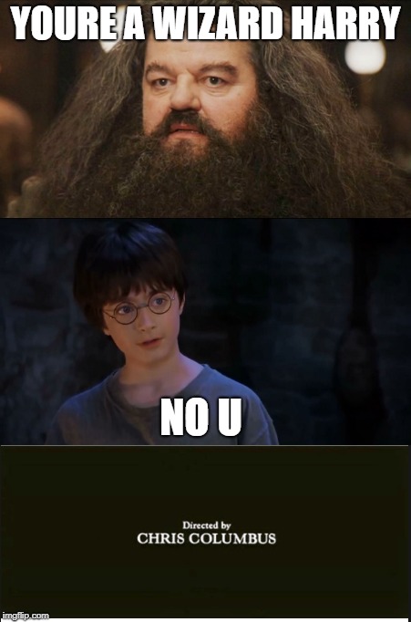 You're a wizard Harry | YOURE A WIZARD HARRY; NO U | image tagged in harry potter meme | made w/ Imgflip meme maker