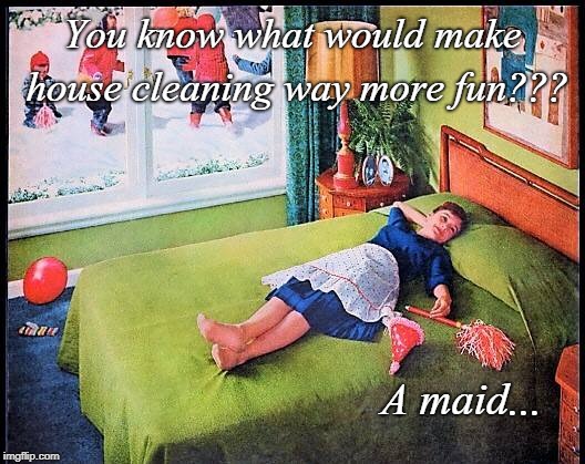 You know what??? | You know what would make house cleaning way more fun??? A maid... | image tagged in housecleaning,more fun,maid | made w/ Imgflip meme maker