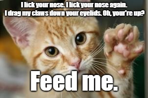 Goodbye Cat | I lick your nose. I lick your nose again. I drag my claws down your eyelids. Oh, your're up? Feed me. | image tagged in goodbye cat | made w/ Imgflip meme maker